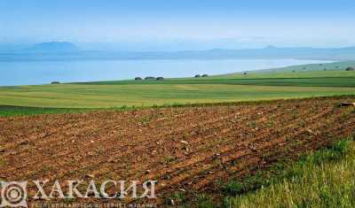 Пустые земли тревожат жителей Хакасии