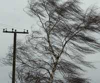 В Хакасии объявлено штормовое предупреждение из-за ветра