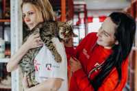 Жители Хакасии смогут принять участие в онлайн-конференции, посвященной развитию приютов для животных