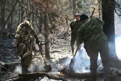 В Хакасии неизвестные подожгли лес