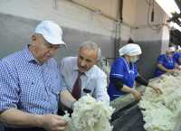 Участники конференции увидели, как на заводе в Усть-Абакане мытая сухая шерсть чистится от разных вкраплений. 
