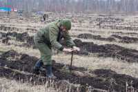 В Хакасии составили лесной план на десятилетие