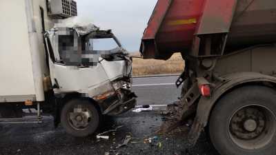 Смерть на трассе: в Хакасии погиб водитель грузовика