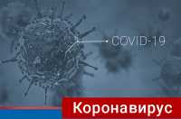 Горячие линии по вопросам коронавируса в Хакасии