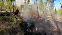 Лесной пожар тушили в Орджоникидзевском районе