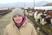 Управляющая фермой Елена Фурсенко: последний месяц тёлки находились на карантине. Животных обследовали, вакцинировали. Теперь они готовы к отправке. 