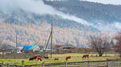 Развитие сельских территорий Хакасии: стартовал прием заявок по новым проектам