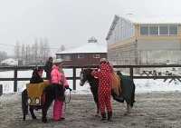 В Хакасии лошади нарядились в драконов и оленей