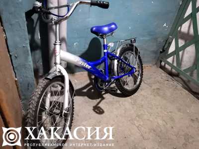 В Абакане украли детский велосипед
