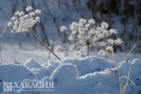 Зима ослабила ледяную хватку - в Хакасии потеплело