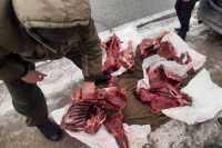 В Ширинском районе задержаны браконьеры, застрелившие четырех косуль