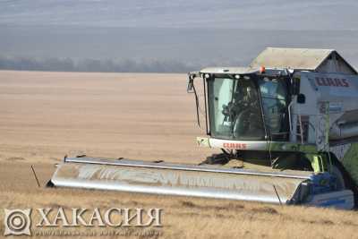 Уборка урожая завершена в Хакасии
