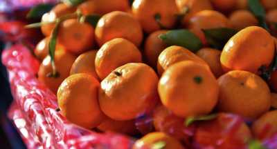 Китайские мандарины под запретом в Хакасии