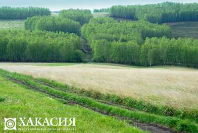 В Хакасии поменялась структура земельного фонда, а площадь осталась неизменной - 6 156 тысяч га