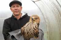 В Хакасии судебный пристав спас погибающую птицу