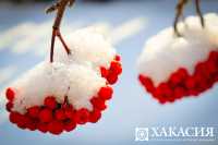 На выходные в Хакасии обещают снег