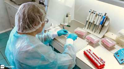 +22: В Хакасии число заболевших коронавирусом возросло до 68
