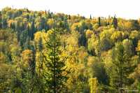 Осенний бор и снежный Борус: красоты заповедника в фотомгновениях