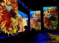 В главном музее Хакасии оживут полотна Ван Гога