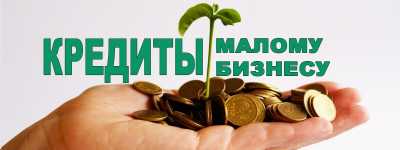 Бизнесменам Хакасии выдают льготные кредиты