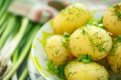 День картошки пройдет в Хакасии