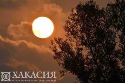Сибирь ожидает «опасное солнце» в ближайшие дни