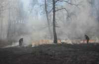 В Таштыпском районе гроза спровоцировала лесной пожар