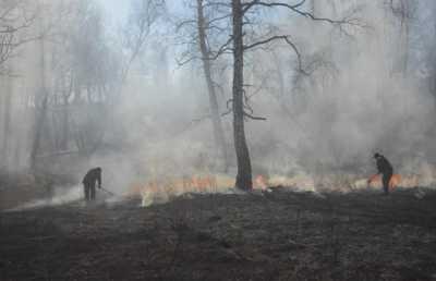В Таштыпском районе гроза спровоцировала лесной пожар