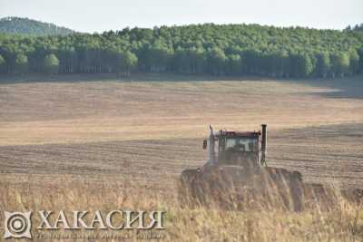 Более 31 тысячи тонн сена заготовлено в Хакасии