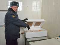 Андрей Кожевников: яйца в инкубаторе переворачиваются автоматически, работникам остаётся лишь следить за датчиками. 
