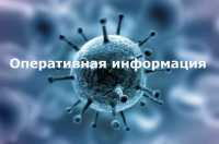 Появились оперативные данные о коронавирусе в Хакасии