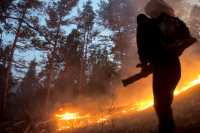 У лесных пожарных Хакасии на прошлой неделе было много работы