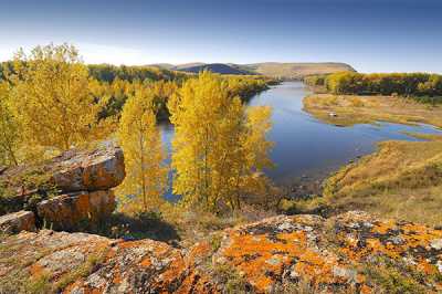 У протоки реки Енисей близ села Алтай. 