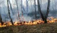 Пожарные больше суток тушили огонь в Боградском лесничестве