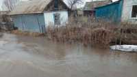 В Алтайском крае паводок повредил 11 мостов
