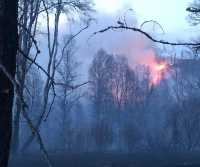 Лесной пожар чуть не добрался до жилья в Ширинском районе