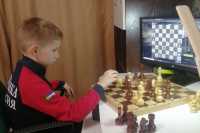 В абаканском лицее продолжается подготовка юных шахматистов в удаленном формате