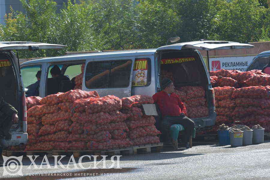 Фото галереи