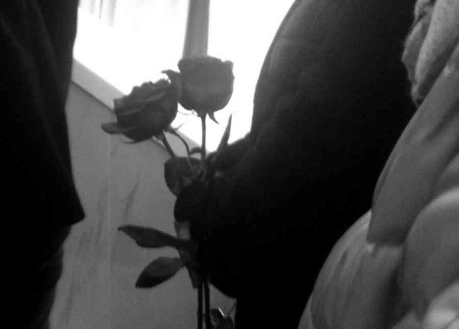 Фото галереи