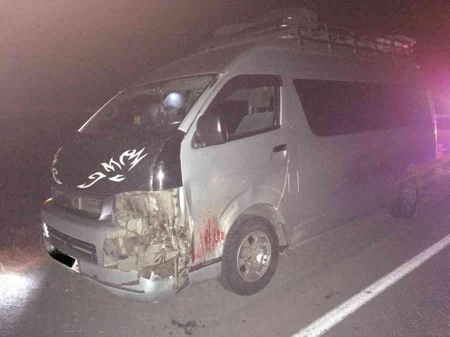 Фото галереи