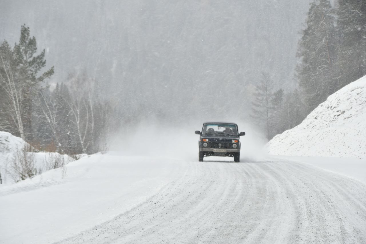 Фото галереи