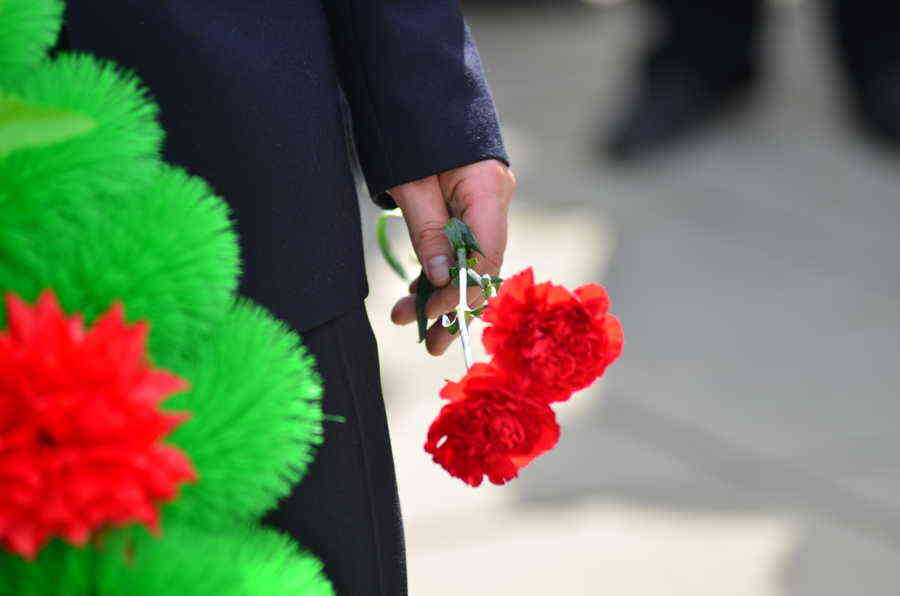 Фото галереи