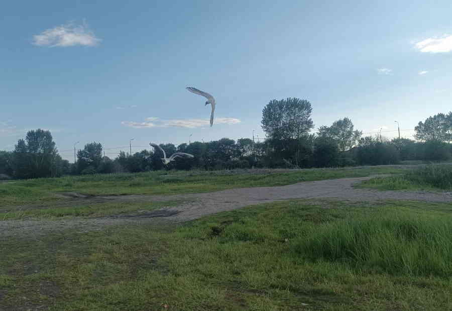 Фото галереи