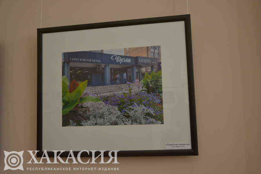 Фото галереи