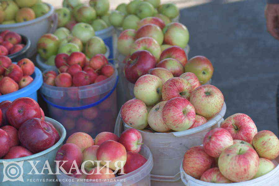 Фото галереи