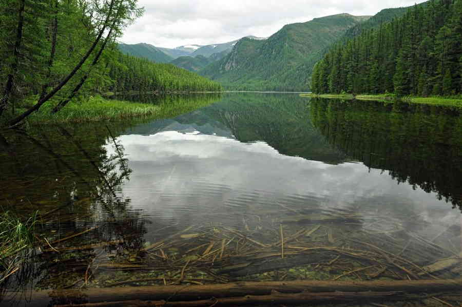 Фото галереи