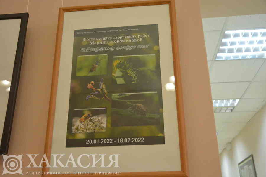 Фото галереи