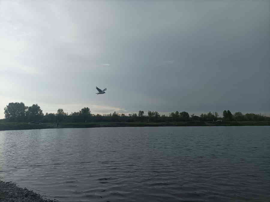 Фото галереи