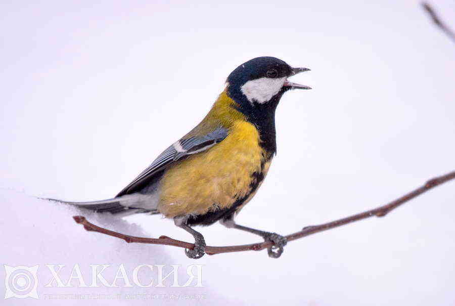 Фото галереи