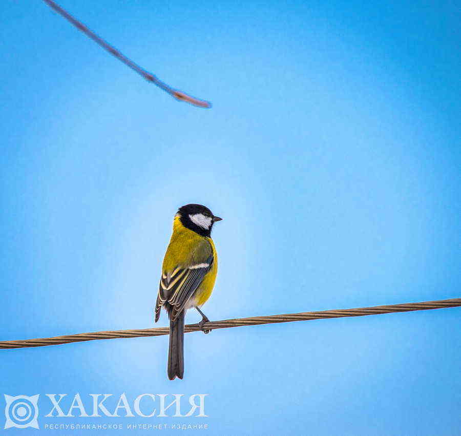 Фото галереи